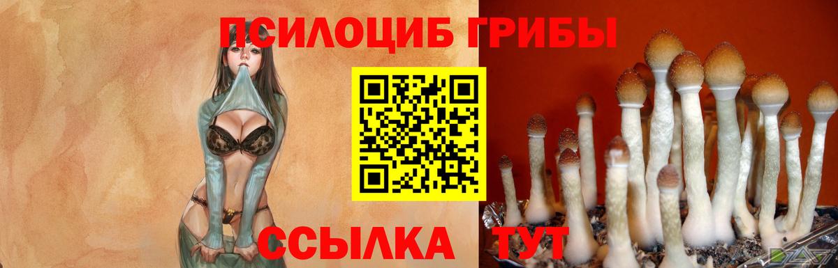 Псилоцибиновые грибы мухоморы  магазин продажи наркотиков  Усть-Кут 